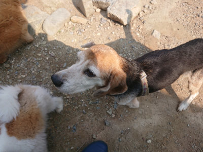 f:id:roukenhome-ann:20190802175127j:plain