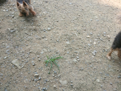 f:id:roukenhome-ann:20190802175145j:plain