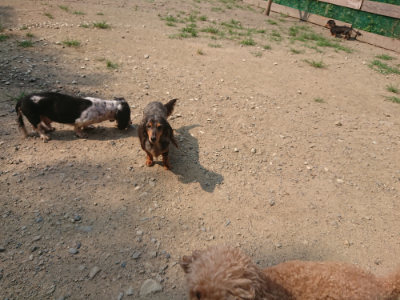 f:id:roukenhome-ann:20190802180104j:plain