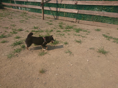 f:id:roukenhome-ann:20190802180123j:plain