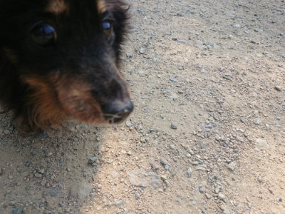 f:id:roukenhome-ann:20190802180158j:plain