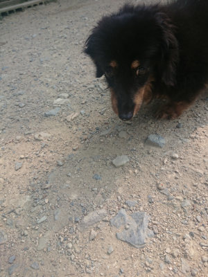 f:id:roukenhome-ann:20190802180206j:plain
