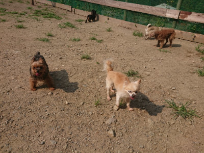 f:id:roukenhome-ann:20190802180213j:plain