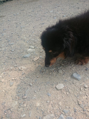f:id:roukenhome-ann:20190802180234j:plain