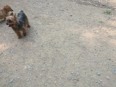 f:id:roukenhome-ann:20190802180240j:plain