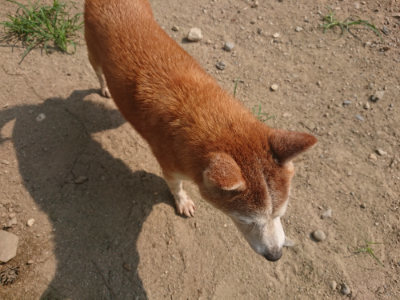f:id:roukenhome-ann:20190802180306j:plain