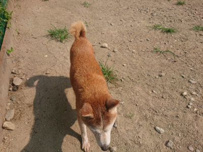 f:id:roukenhome-ann:20190802180402j:plain