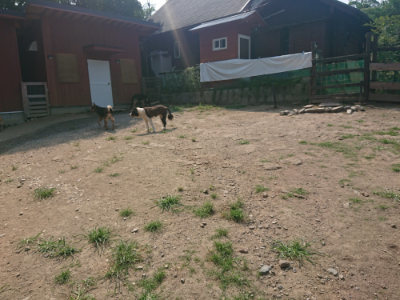 f:id:roukenhome-ann:20190802180408j:plain
