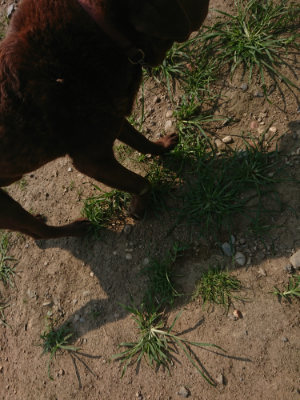f:id:roukenhome-ann:20190802180432j:plain