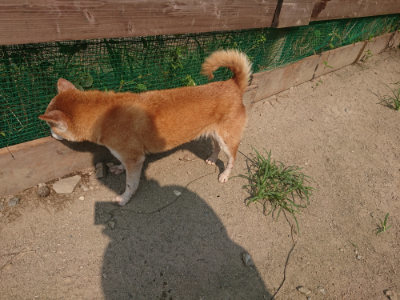 f:id:roukenhome-ann:20190802180506j:plain