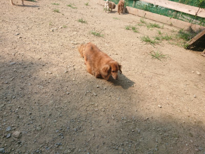 f:id:roukenhome-ann:20190802180533j:plain