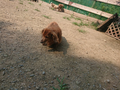 f:id:roukenhome-ann:20190802180541j:plain