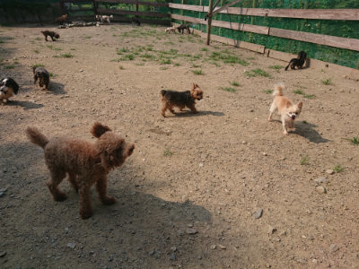 f:id:roukenhome-ann:20190802180645j:plain