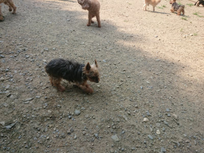 f:id:roukenhome-ann:20190802180710j:plain