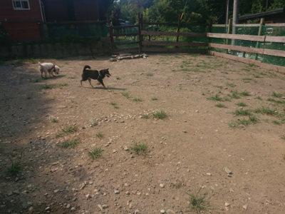 f:id:roukenhome-ann:20190802180728j:plain