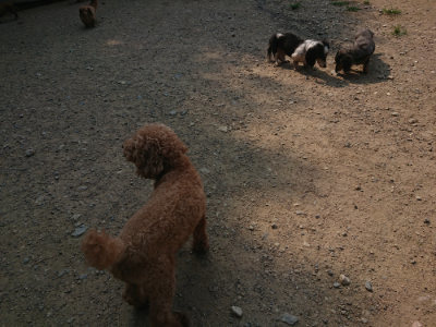 f:id:roukenhome-ann:20190802180734j:plain