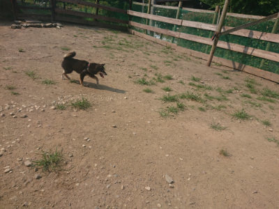 f:id:roukenhome-ann:20190802180751j:plain