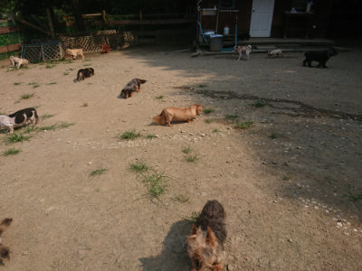 f:id:roukenhome-ann:20190802180928j:plain