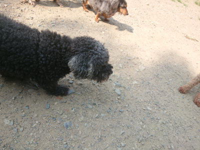 f:id:roukenhome-ann:20190802180949j:plain