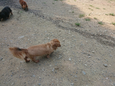 f:id:roukenhome-ann:20190802181003j:plain