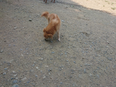 f:id:roukenhome-ann:20190802181024j:plain
