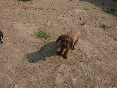 f:id:roukenhome-ann:20190802181037j:plain