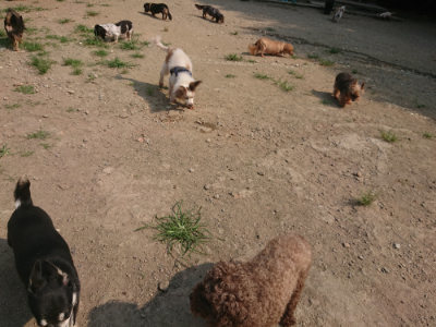 f:id:roukenhome-ann:20190802181046j:plain
