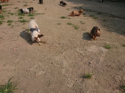 f:id:roukenhome-ann:20190802181114j:plain