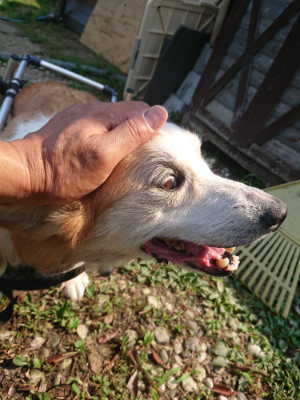 f:id:roukenhome-ann:20190802181155j:plain