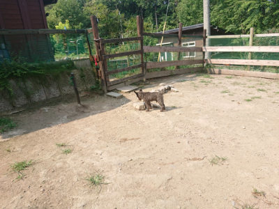 f:id:roukenhome-ann:20190802181448j:plain