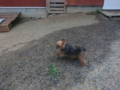 f:id:roukenhome-ann:20190802181516j:plain