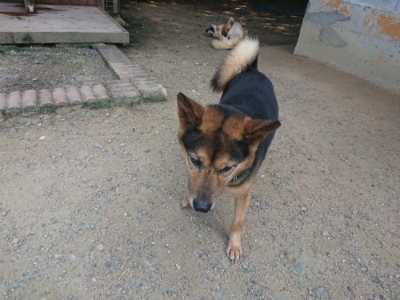 f:id:roukenhome-ann:20190802181526j:plain