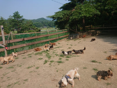 f:id:roukenhome-ann:20190802182750j:plain