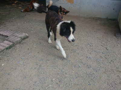 f:id:roukenhome-ann:20190802182840j:plain