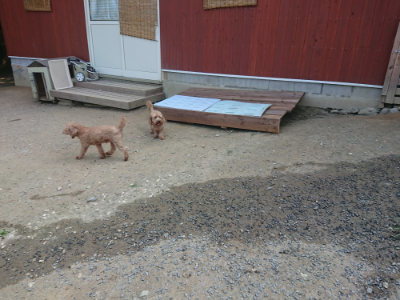 f:id:roukenhome-ann:20190802182938j:plain