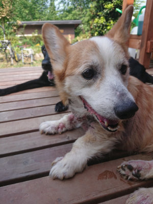 f:id:roukenhome-ann:20190802183044j:plain