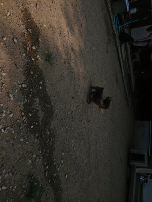 f:id:roukenhome-ann:20190802183051j:plain
