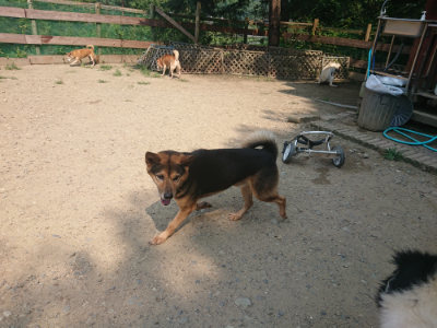f:id:roukenhome-ann:20190802183100j:plain