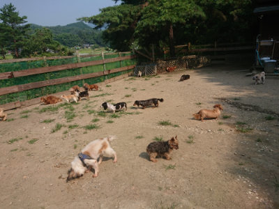 f:id:roukenhome-ann:20190802183111j:plain