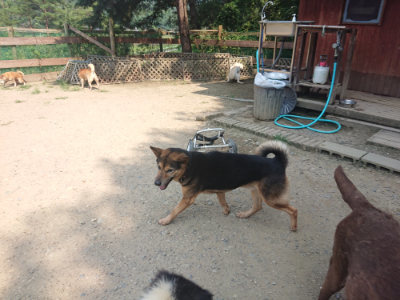 f:id:roukenhome-ann:20190802183117j:plain