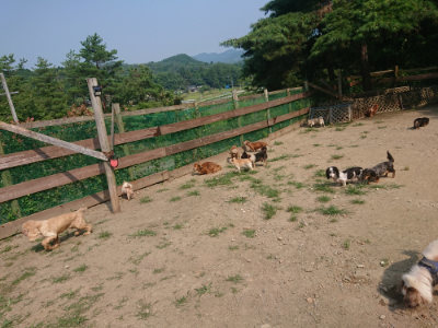 f:id:roukenhome-ann:20190802183144j:plain