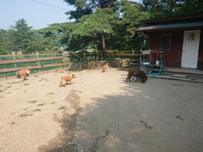 f:id:roukenhome-ann:20190802183437j:plain