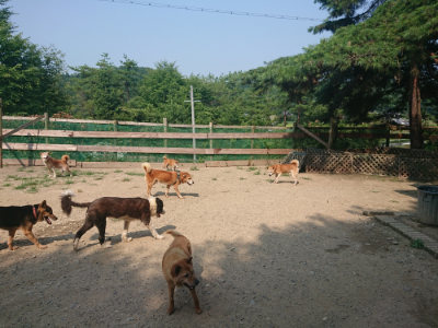 f:id:roukenhome-ann:20190802183447j:plain