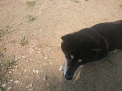 f:id:roukenhome-ann:20190802183457j:plain