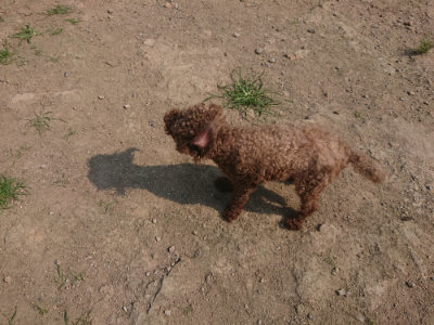 f:id:roukenhome-ann:20190802183544j:plain
