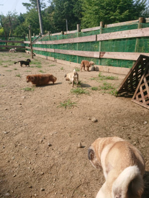 f:id:roukenhome-ann:20190802183702j:plain