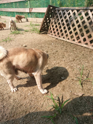 f:id:roukenhome-ann:20190802183738j:plain