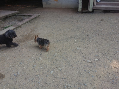 f:id:roukenhome-ann:20190802183833j:plain