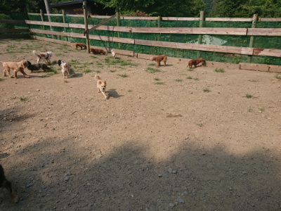 f:id:roukenhome-ann:20190802183900j:plain