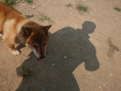 f:id:roukenhome-ann:20190802183929j:plain